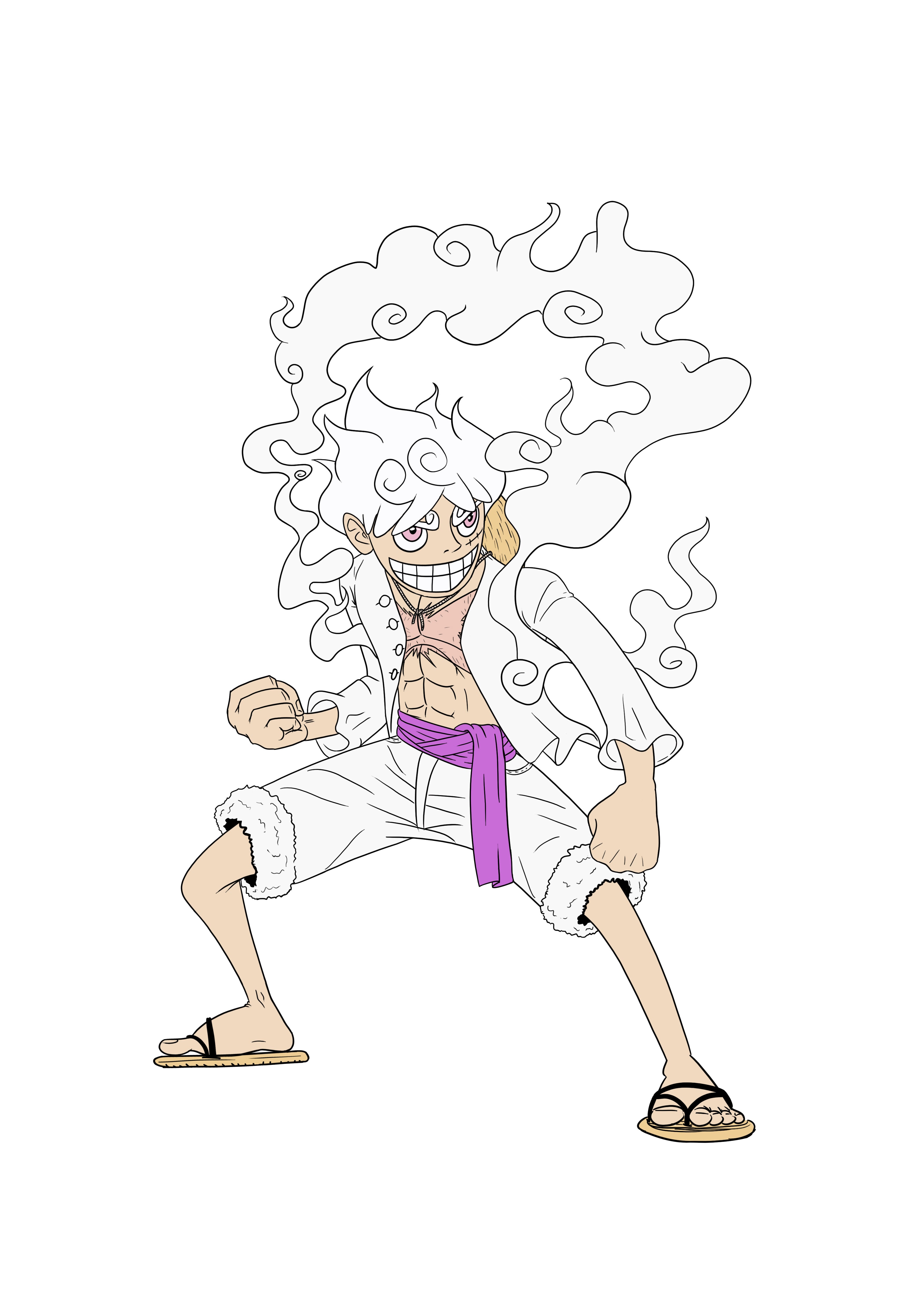 Luffy_G5_flat.jpg